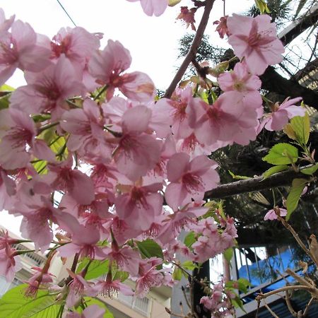 فندق Kawasaki Share House المظهر الخارجي الصورة