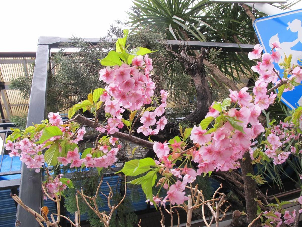 فندق Kawasaki Share House المظهر الخارجي الصورة